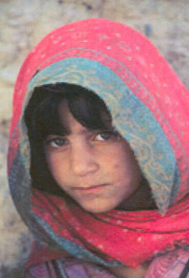 Afghan Girl 1