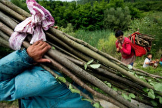 FIREWOOD BURDEN Chminianske Jakubovany, Slovakia