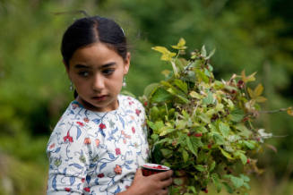 FOREST FRUIT