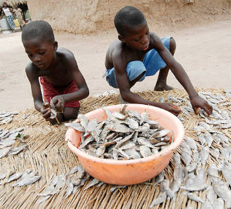 Borderless Captivity, Boys attend to drying fish, mainstay of village life...