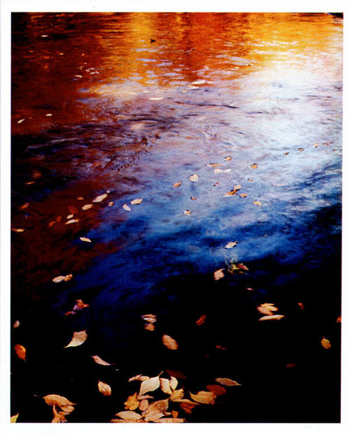 Pool in a Brook. Pond Brook, New Whiteface, New Hampshire. October 1953