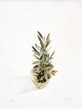 Olive Branch in Glass