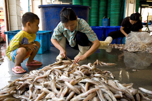 Borderless Captivity, Young Burmese boy watches mother at work...